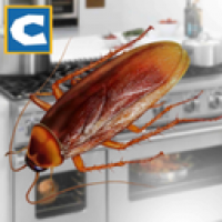 蟑螂模拟器截图