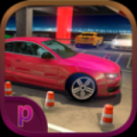 驾考模拟停车达人游戏最新版下载截图
