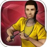 real badminton截图