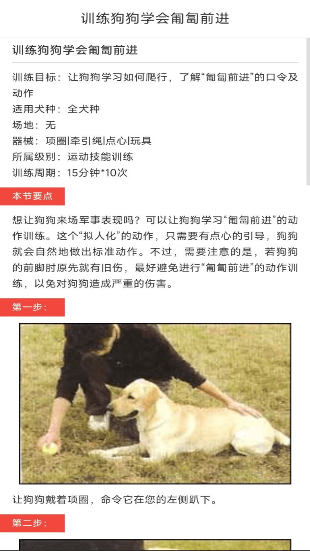 动物对话翻译器中文版下载截图