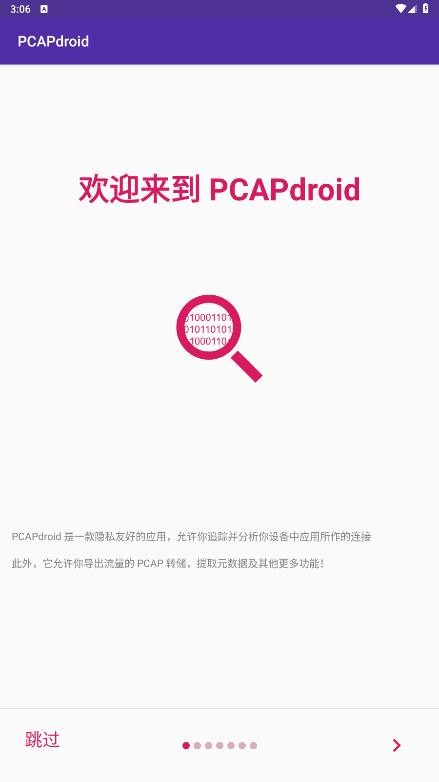 pcapdroid截图