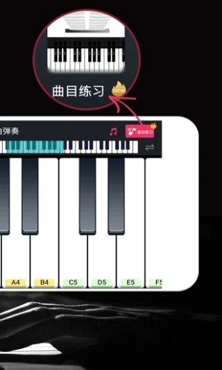 模拟钢琴v25.5.57截图